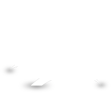Islam Beyond Borders